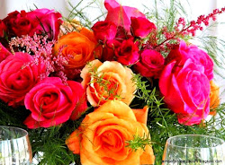 orange rose flowers colorful
