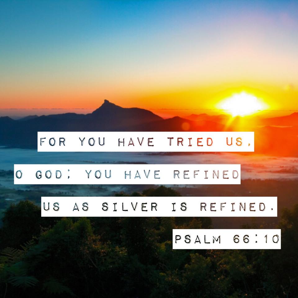 growing up in the word refined according to his purpose