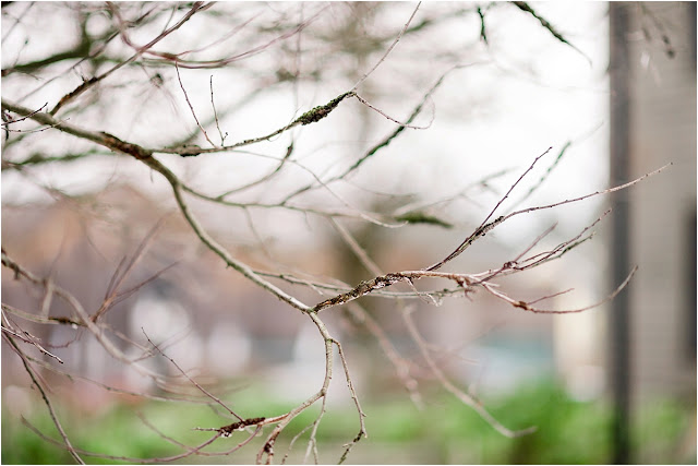 couples in love, engaged, love, engagement, nj photography