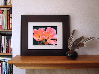 A framed display of the delicate sunlit pink blossoms of a geranium in sunset colors of tangerine, fuchsia, and orange.
