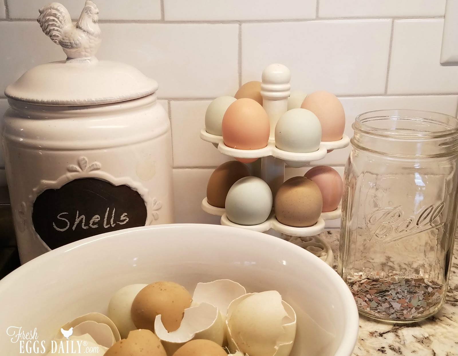 Myths About Feeding your Chickens Eggshells Fresh Eggs Daily®