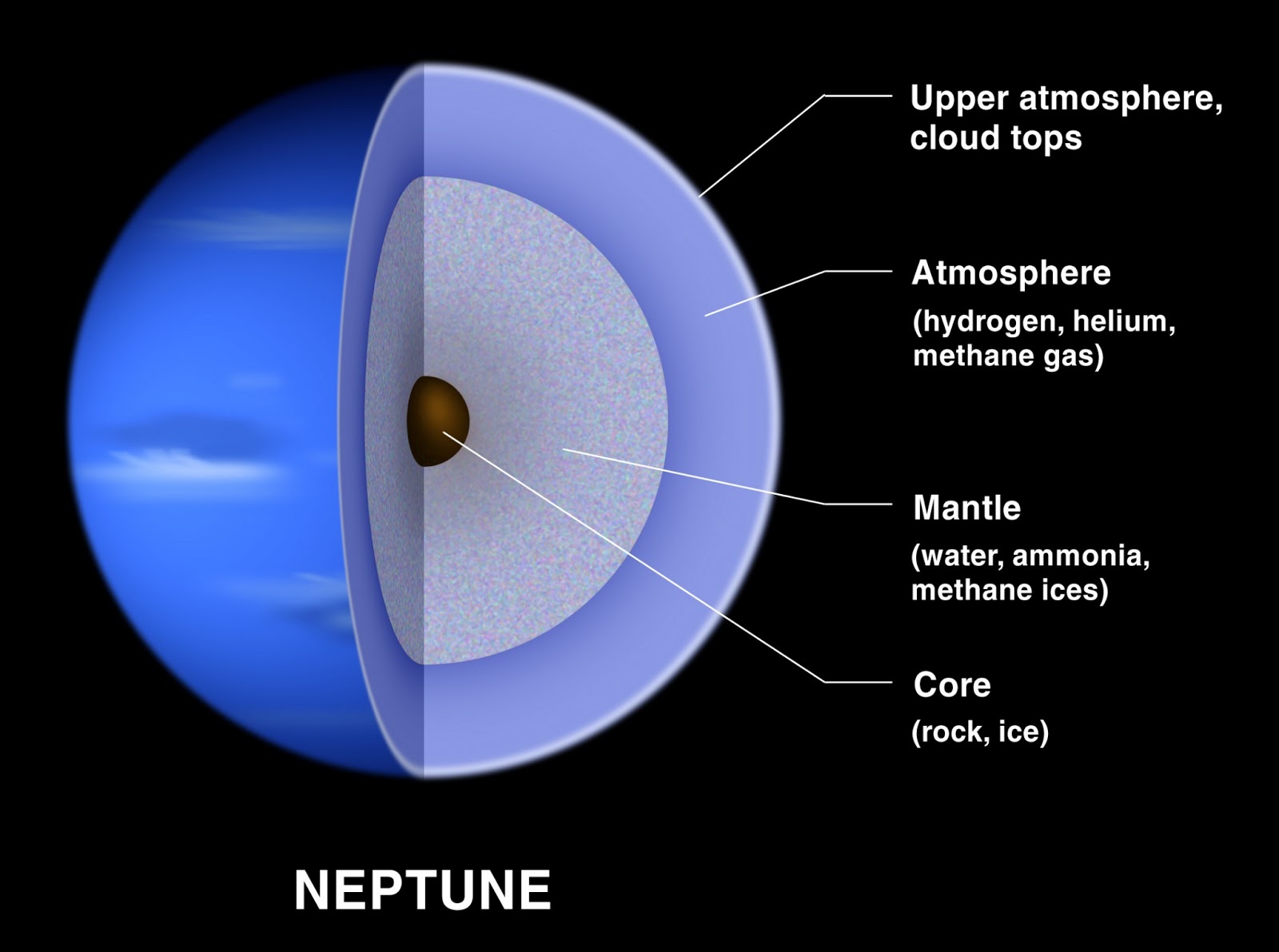 neptune compared to uranus