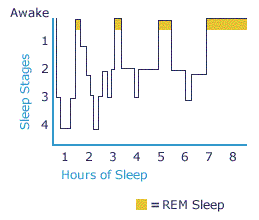 ciclo del sonno