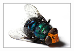 spy cameras fly strange hidden camera flying mini insect shocking amazing facts shaped shape enlarge