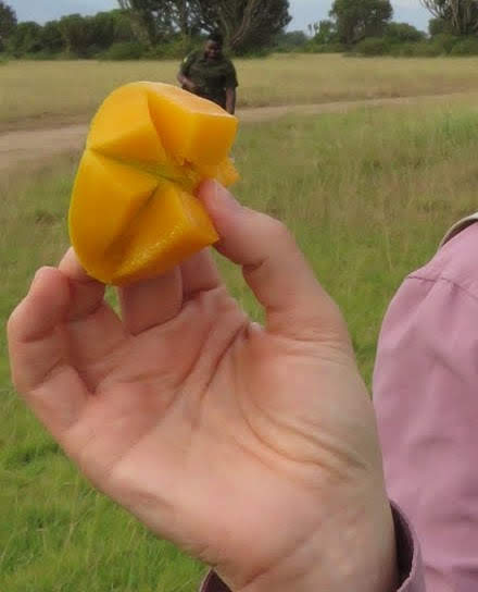 Cut Ugandan mango