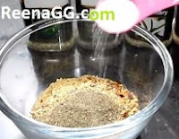 Oregano Pizza Masala Hindi Recipe