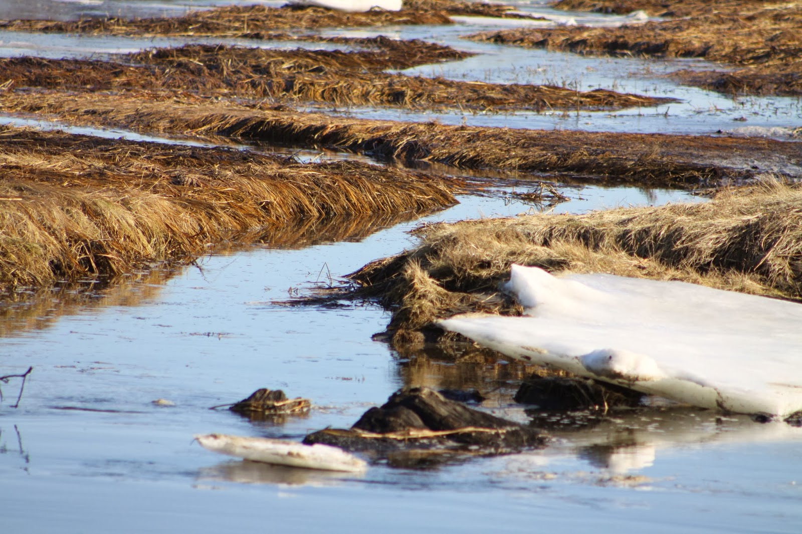 Spurwink River, Scarborough/Cape Elizabeth, Maine