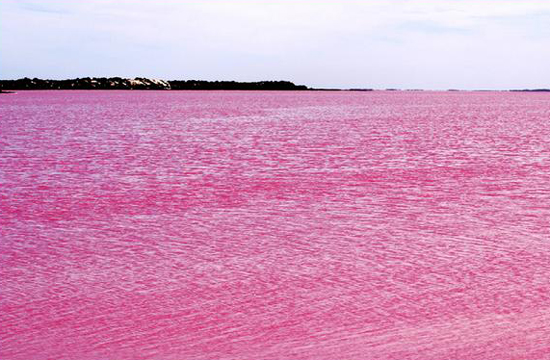 The Lac Rose (Or Lake Retba ) in Senegal