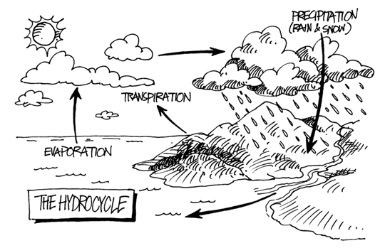 What did you know about the Hydrologic Cycle | Science on science