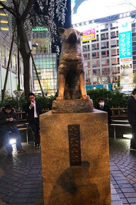 Hachiko Statue Shibuya Japan