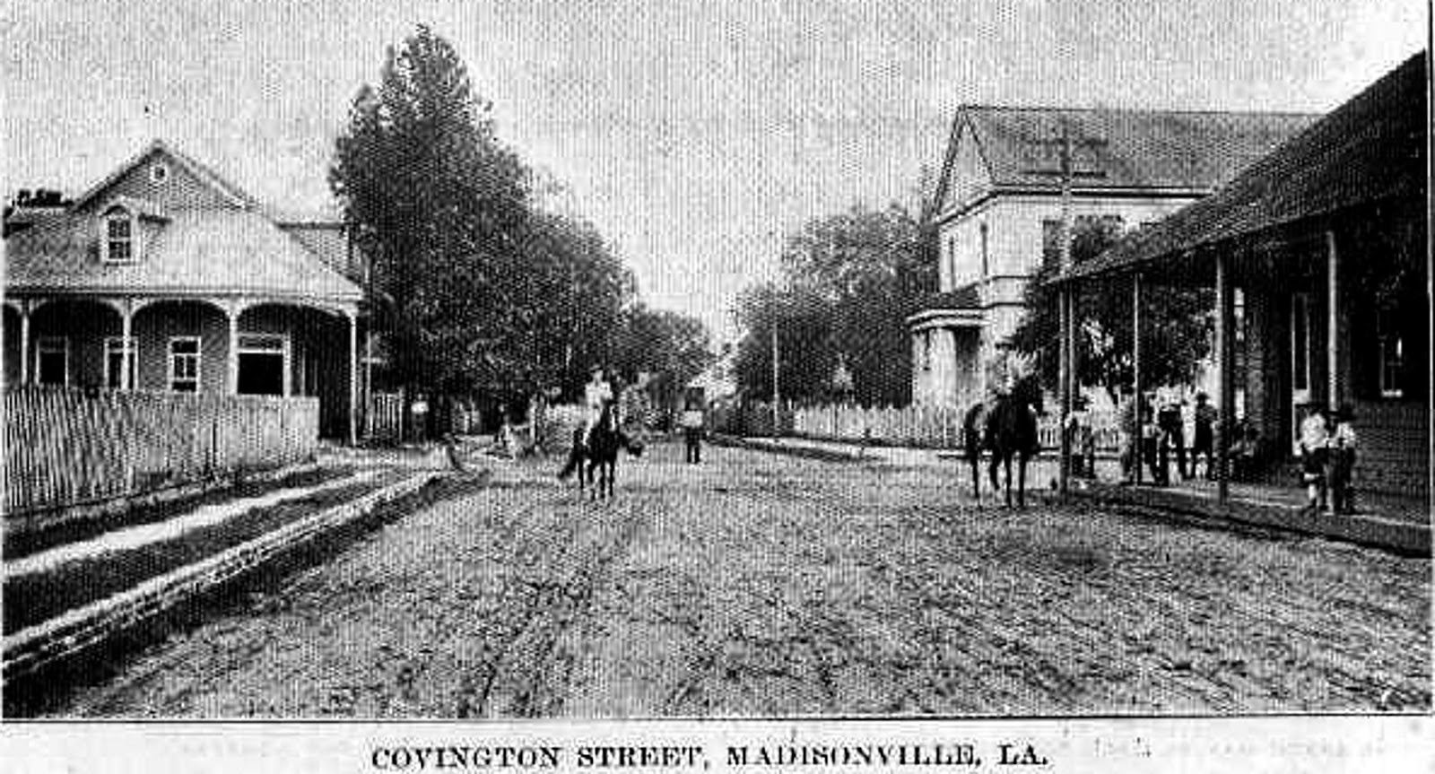 Tammany Family The History of Madisonville