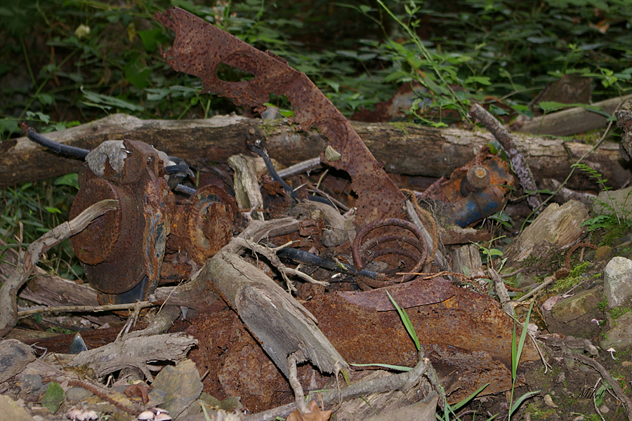 Cuaderno del Migue El rio, ese patio trasero.