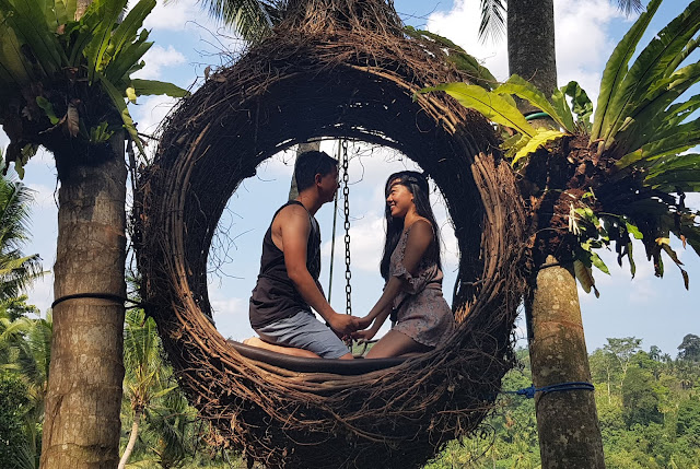 Bali Swing nest