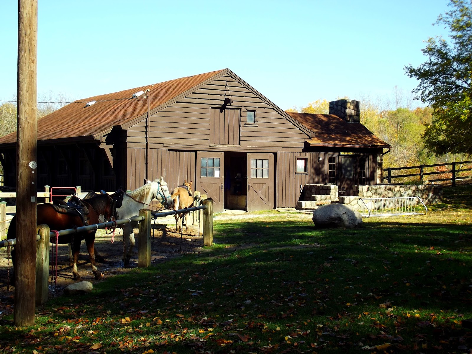 A Visit To Pokagon State Park Indiana