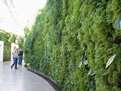 Lot Of Laught: Vertical Garden