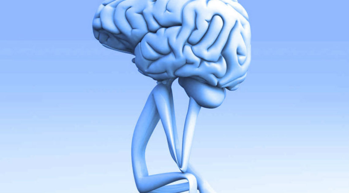 Мозг принимает сигналы. Мозг рисунок. Мозг человека рисунок. Мозг на белом фоне.