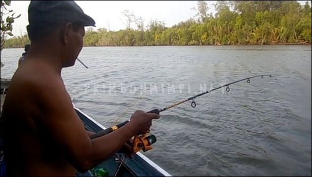 Arti Mimpi Mancing Ikan Mimpi Mancing Ikan