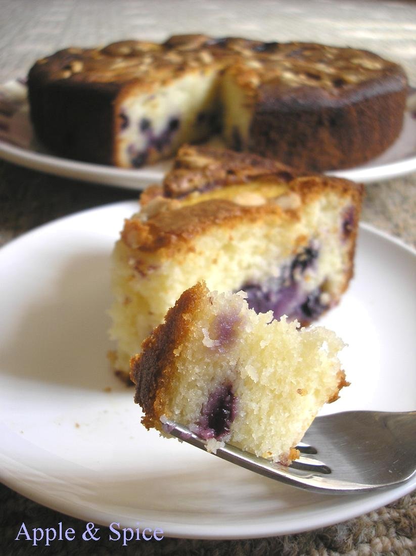Apple & Spice Blueberry & Nectarine Yoghurt Cake