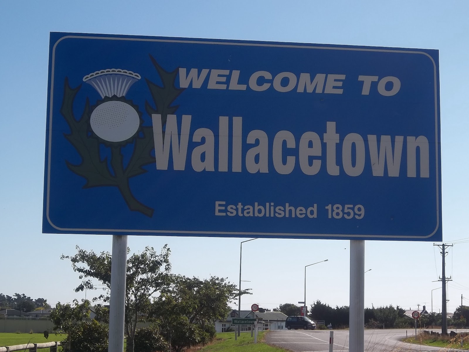 kiwibird Wallacetown