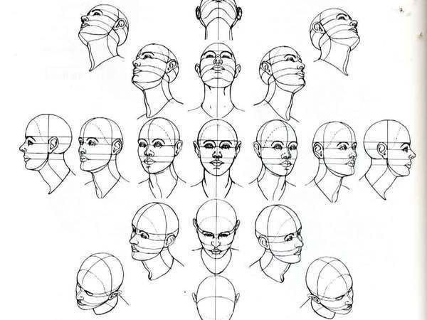 как рисовать голову в повороте, как рисовать голову в пропорции, рисунок головы, схема для рисования
