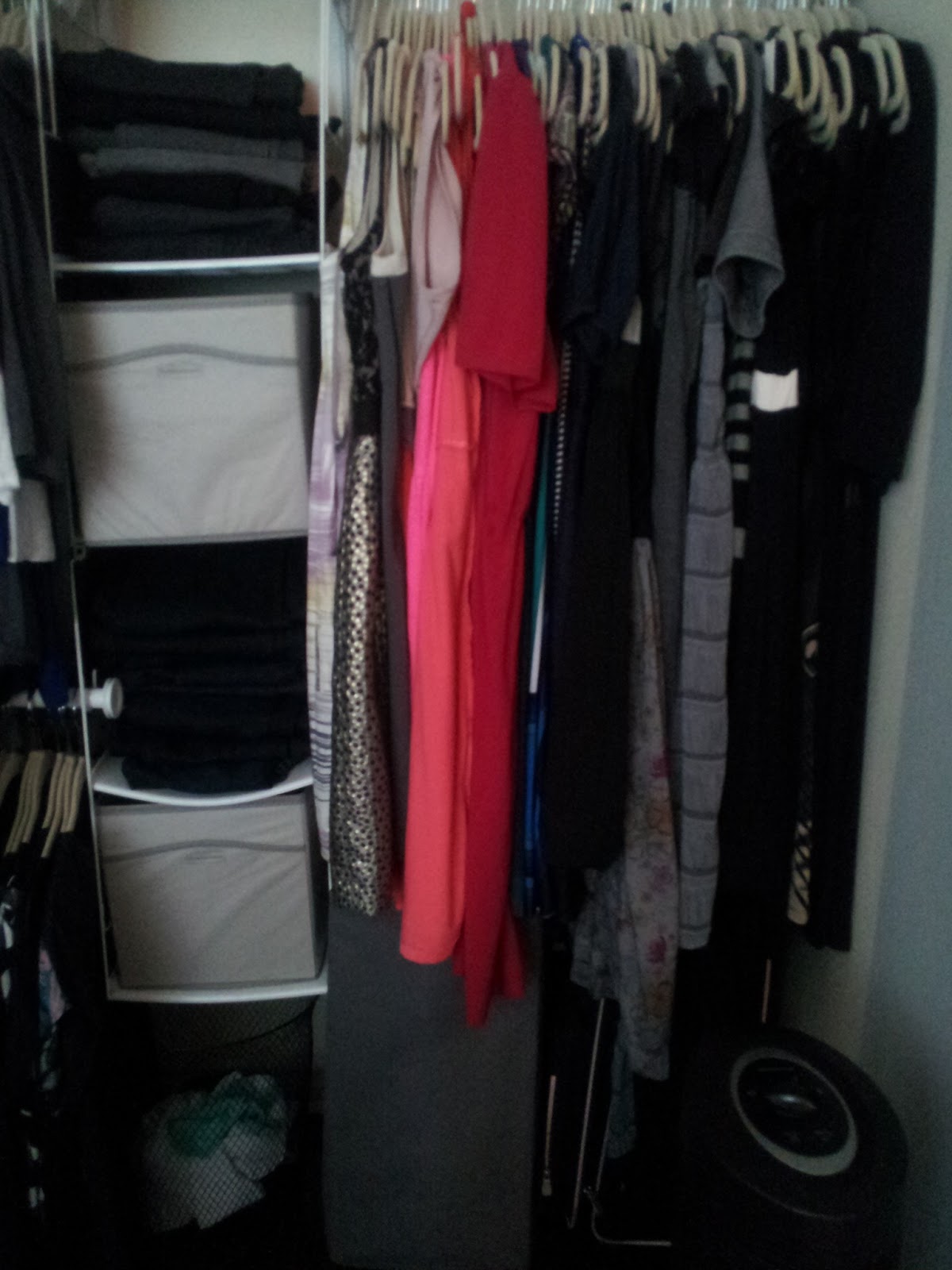 Rubbermaid Closet Helper Max Addon Organizer You Don't Need Mr. Big