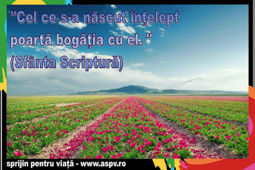 IC _XC NI _KA †: Fericit tu, care nu te-ai lasat invins de relele ...