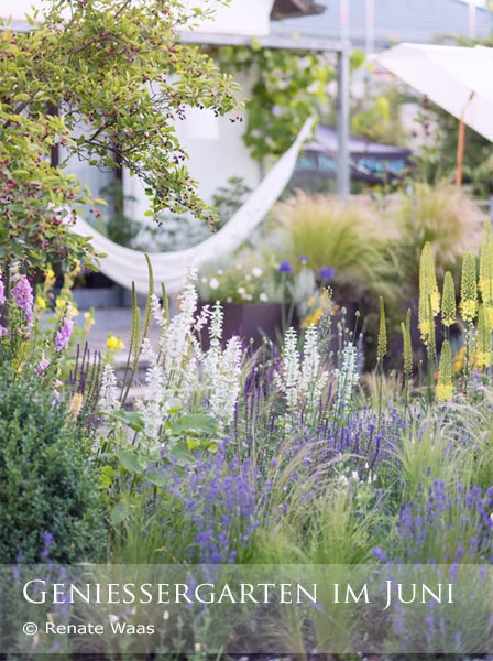 Gartenblog Zu Gartenplanung Gartenberatung Gartendesign Und