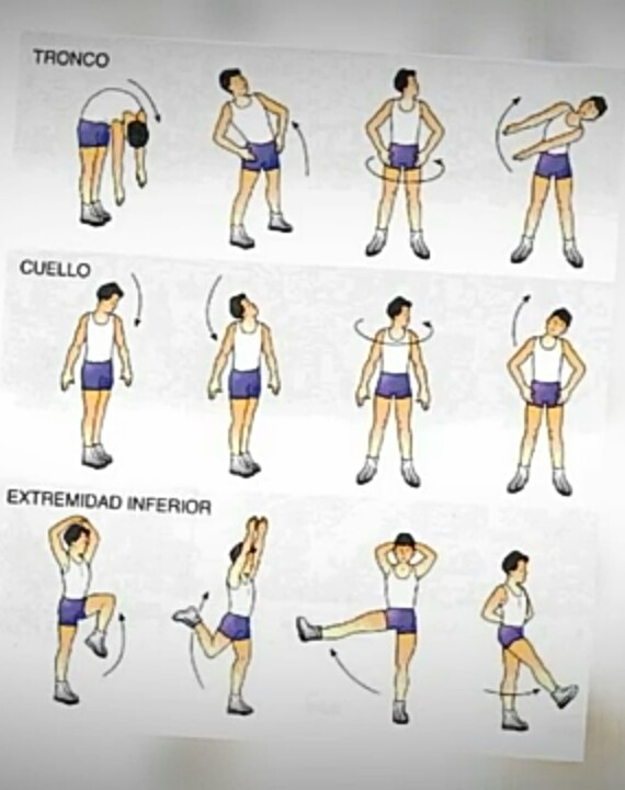 BLOG DE EDUCACIÓN FÍSICA calentamiento general