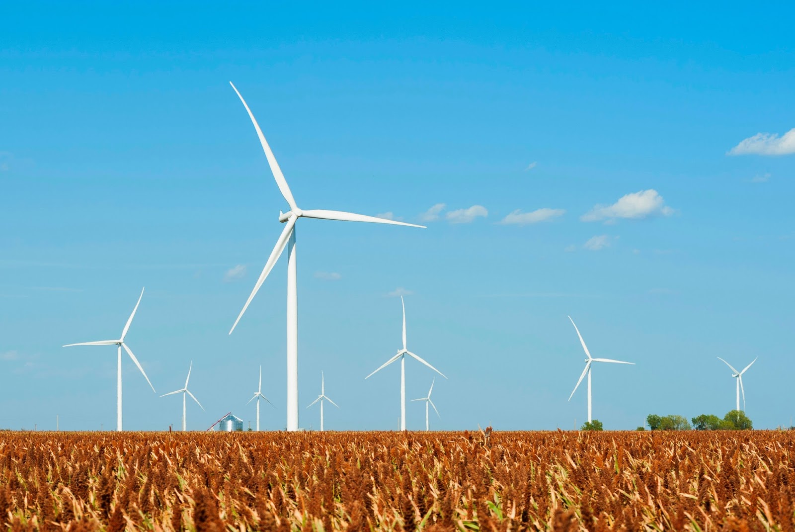 Siemens to supply 141 wind turbines for major wind power plant in New