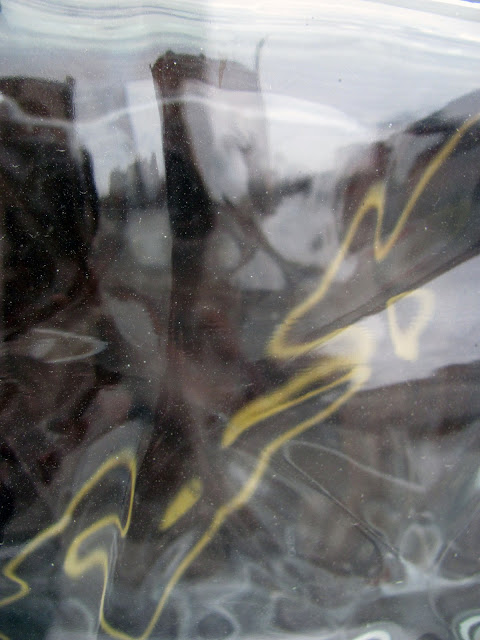 curving back: through contorted glass