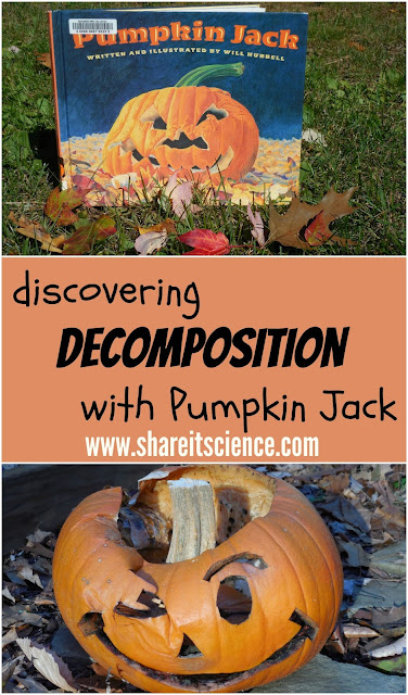 Easy Pumpkin Decomposition Science Experiment