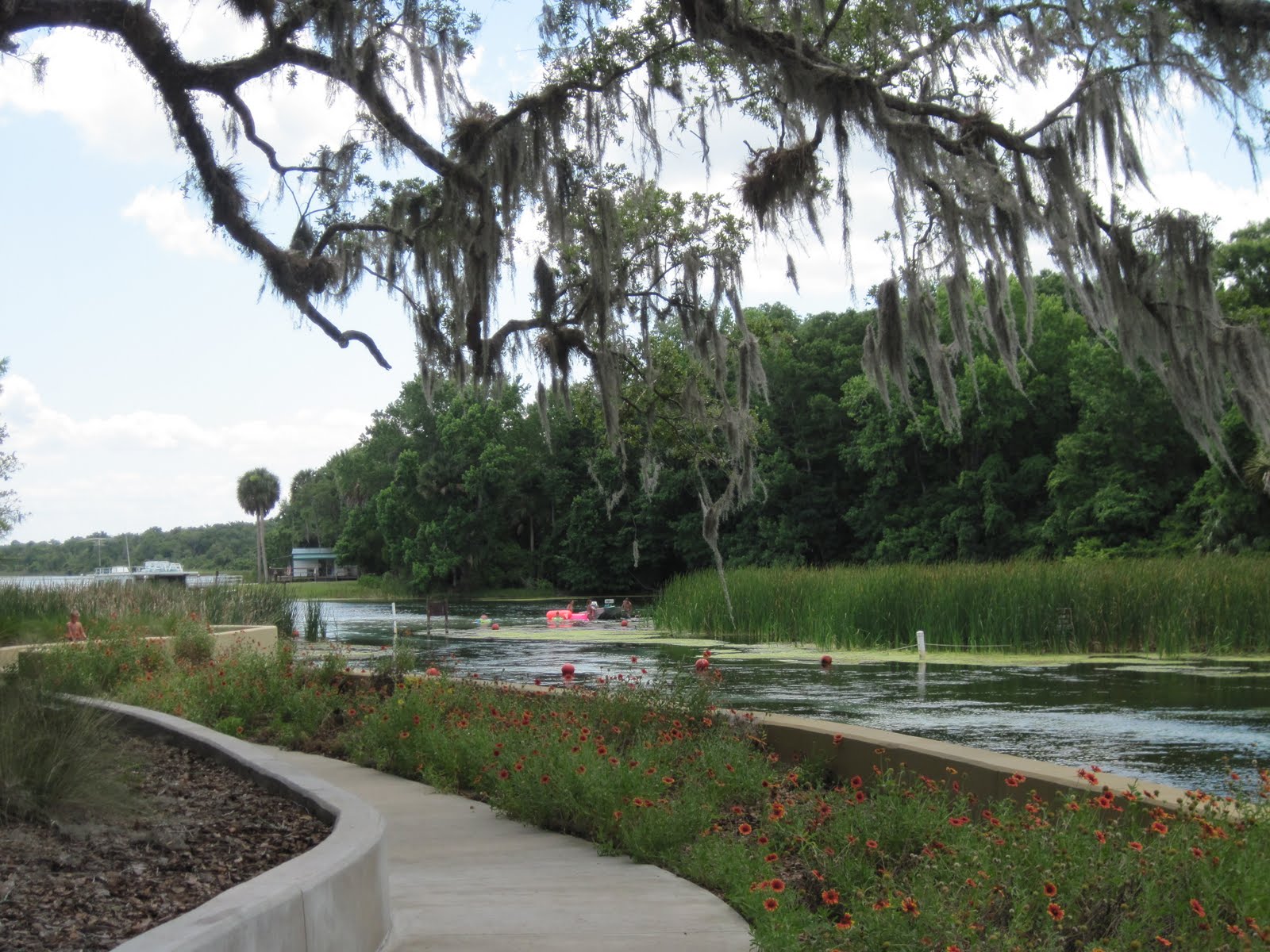 Spring Trip 2011 Salt Springs Recreational Area, Ocala National Forest