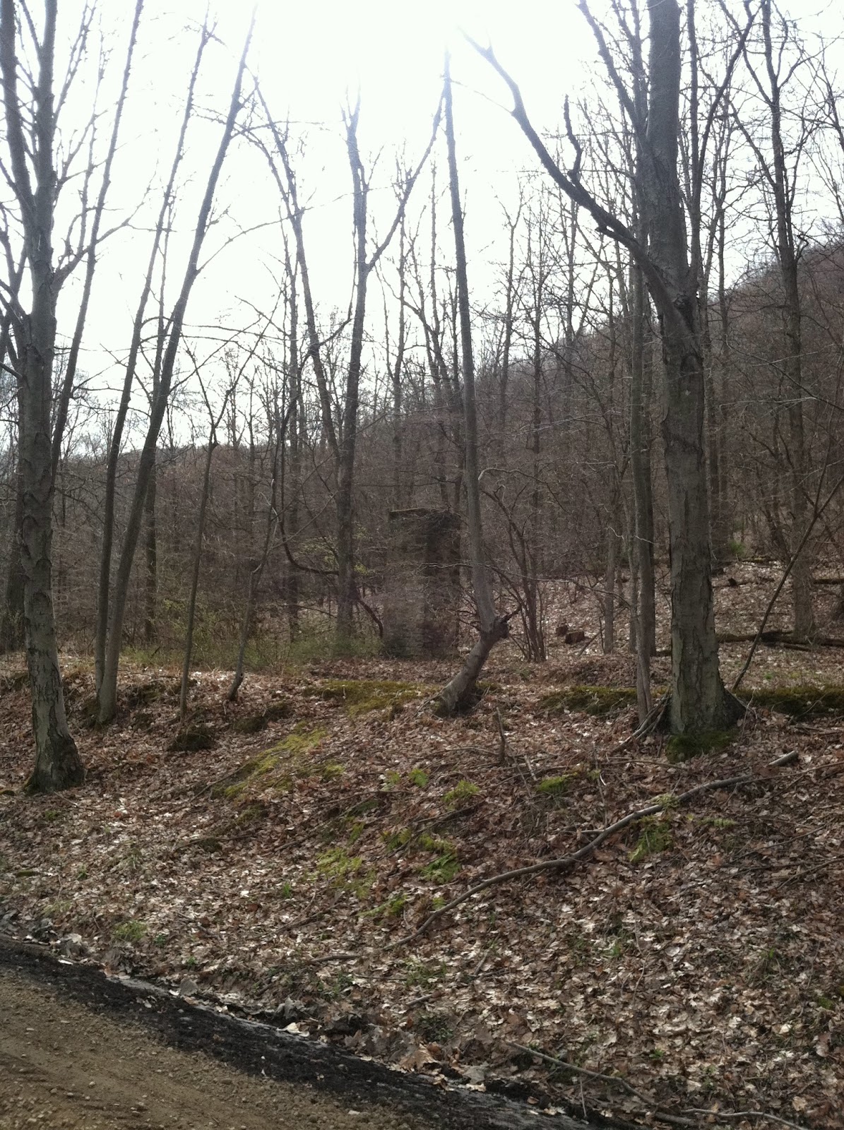 Snow and Jaggers River Ridge Farm, Venango County