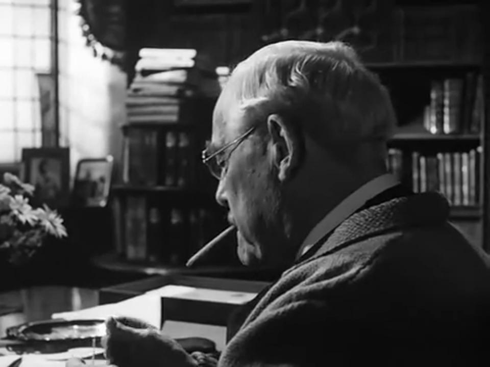 Wild strawberries analysis picture