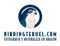 BirdingTeruel