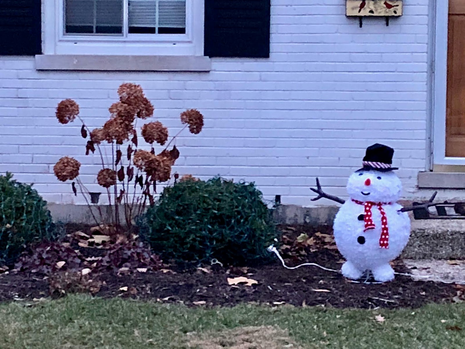 Every goddamn day 02/19/24 The holiday season is upon us