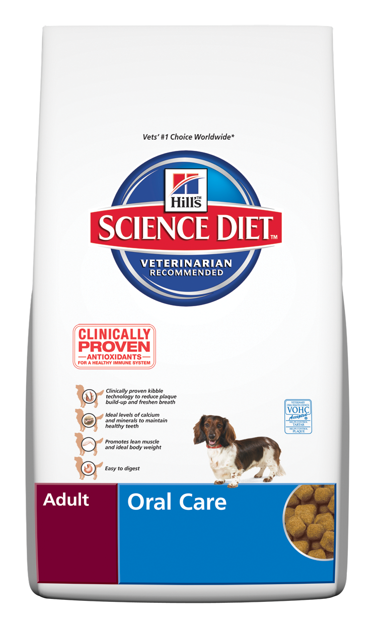 Little Pet House Your Budget Friendly Online Pet Shop in Singapore