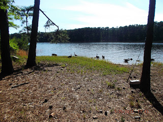 On the Road with Bill, Bunky and the Booze: Hamilton Branch State Park, SC