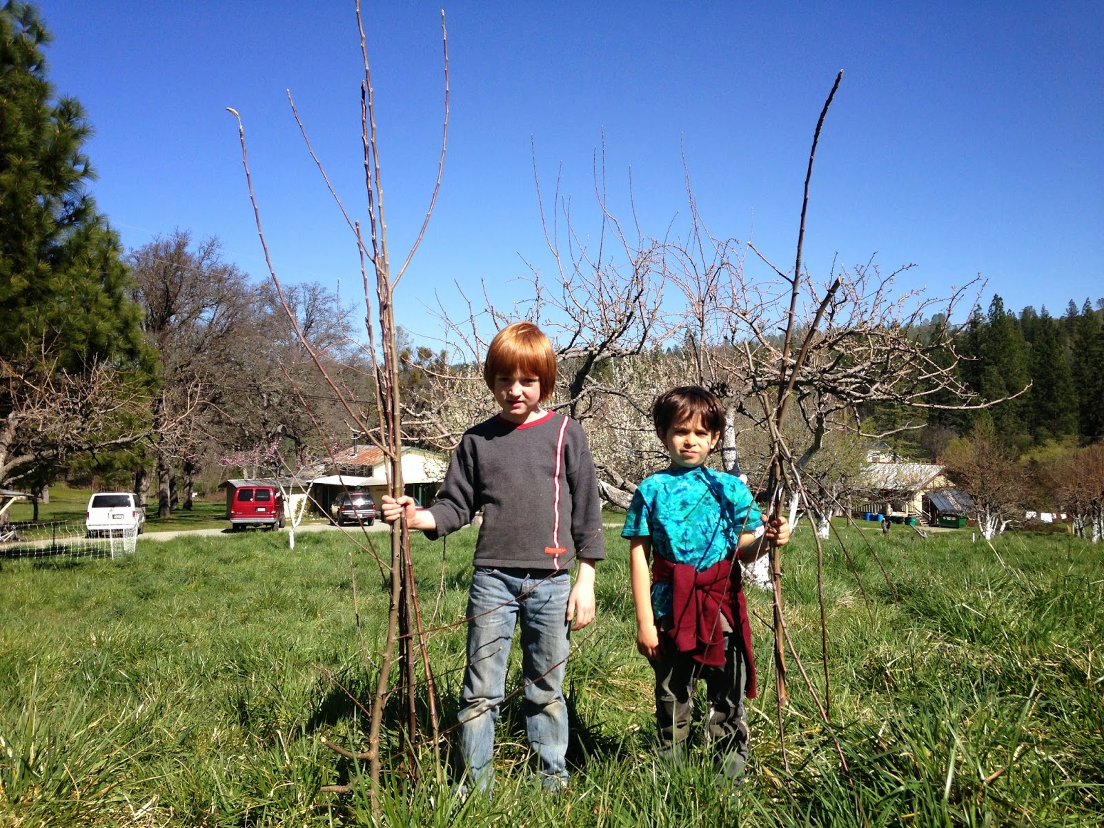 Yuba River Charter School Home Study Farm Program