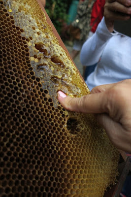 philippine honey