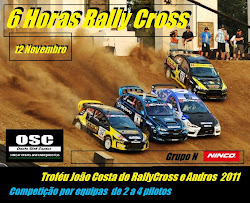 6 Horas RallyCross Ninco WRC 2011