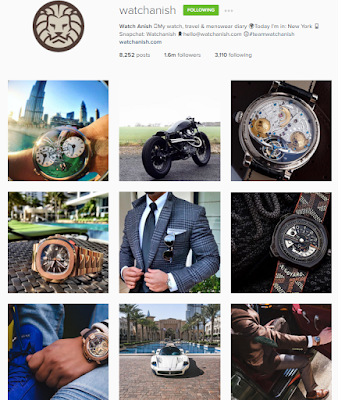 Example of consistent content on Instagram by WatchAnish