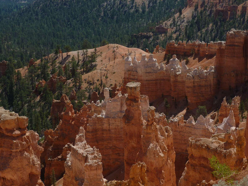 13: Bryce Canyon - Driving me ... USA (10)