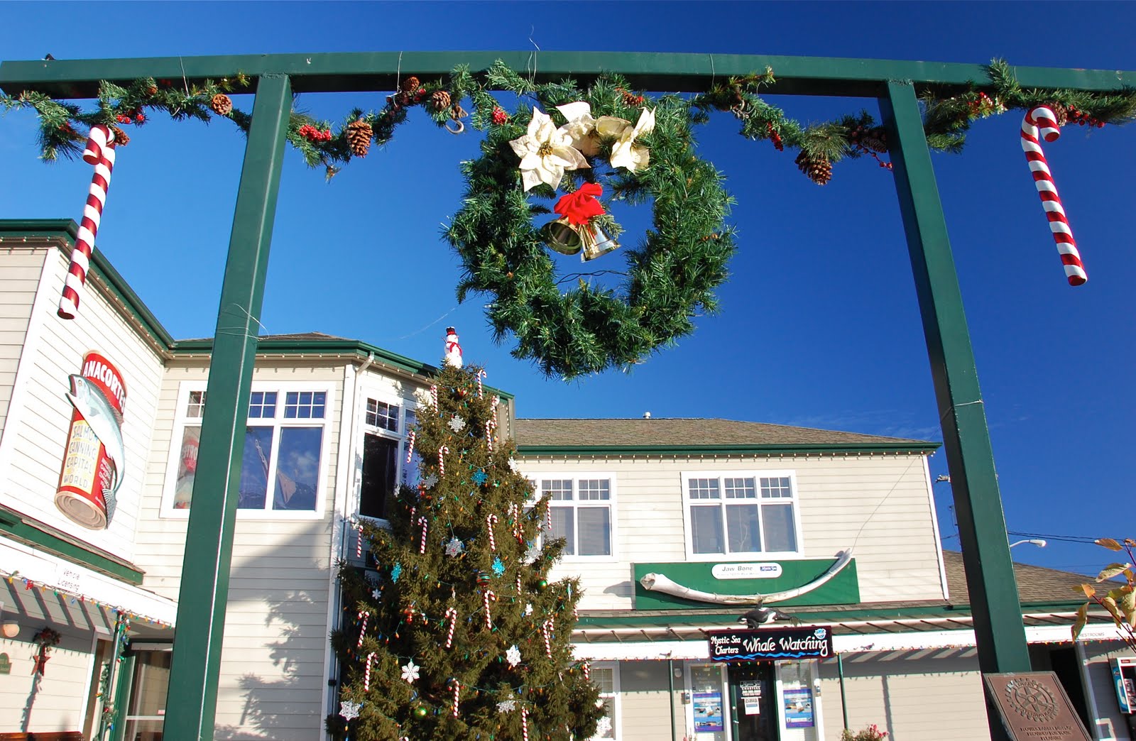 Travels with L (and sometimes Z & F) Year's End in Anacortes, WA