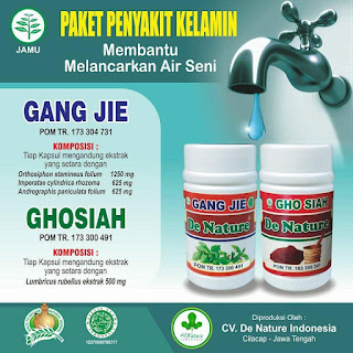 Obat Kencing Nanah Obat Kencing Nanah