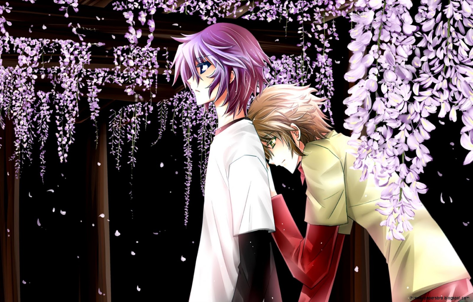 Anime Shiki Resolution Wallpaper | This Wallpapers