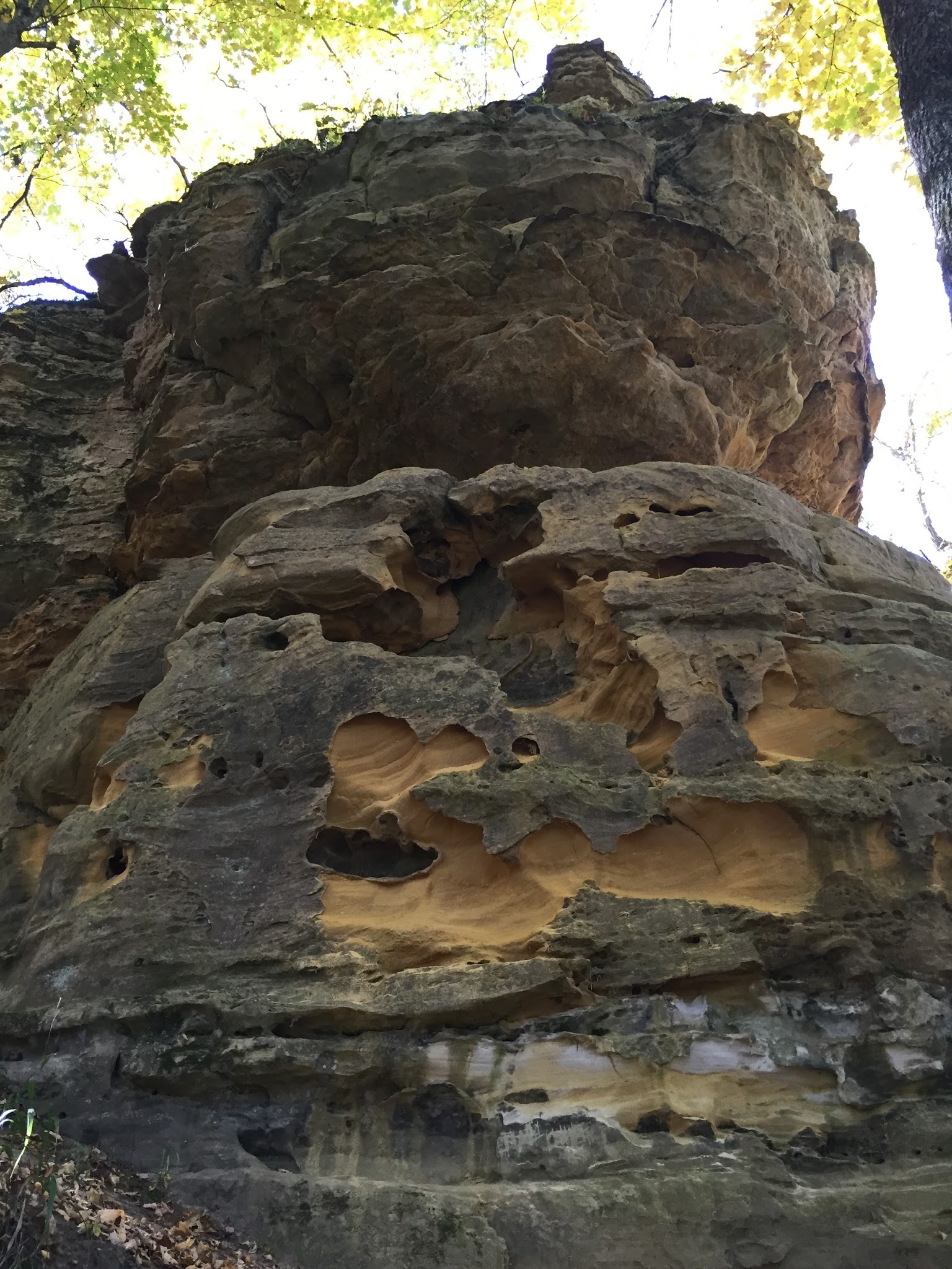 Sandstone formations on the Old Settler's Trail