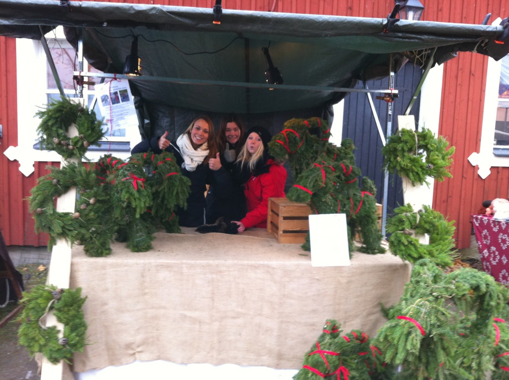 Malmaskolans Polenresegrupp 2012 Färna Julmarknad