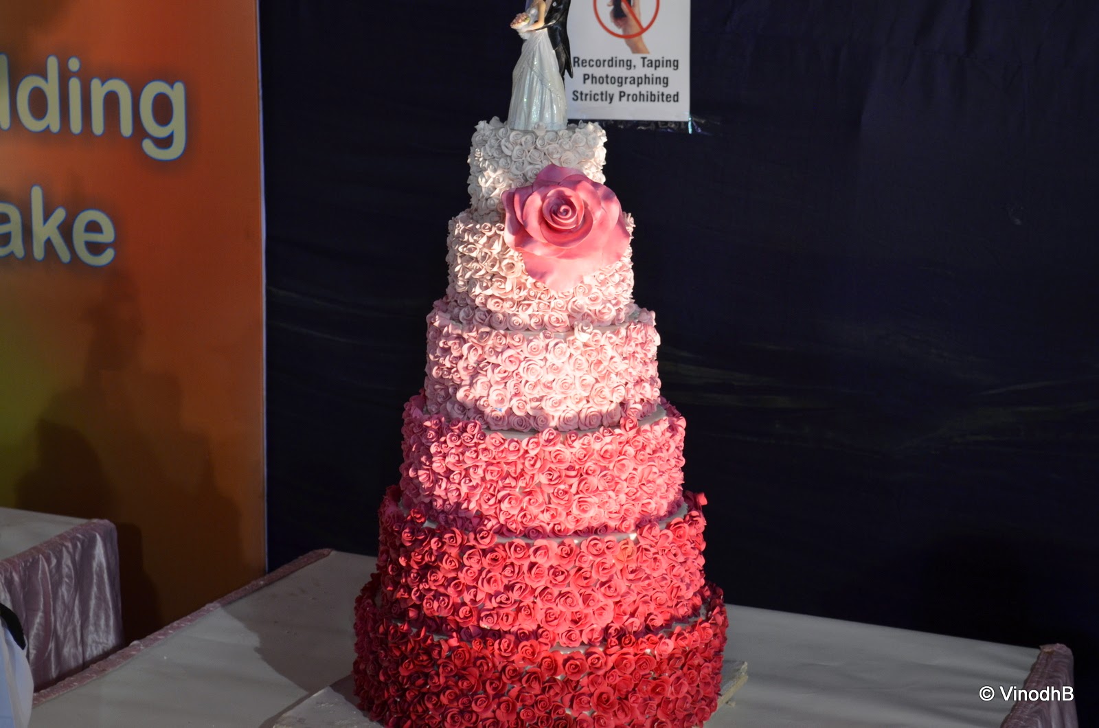 Vinodh Photography Bangalore Annual Cake show 2013