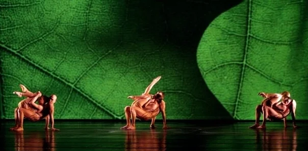 Momix Ballet | Gli scatti suggestivi di Max Pucciariello e Pedro Arnay